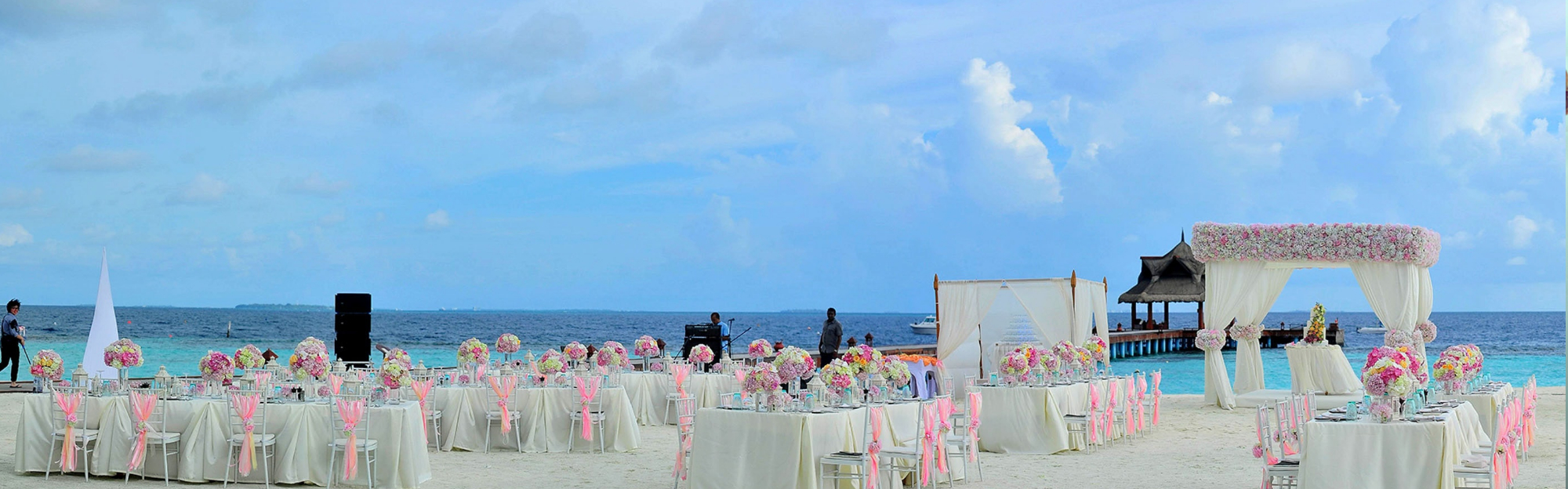 Wedding couple just married